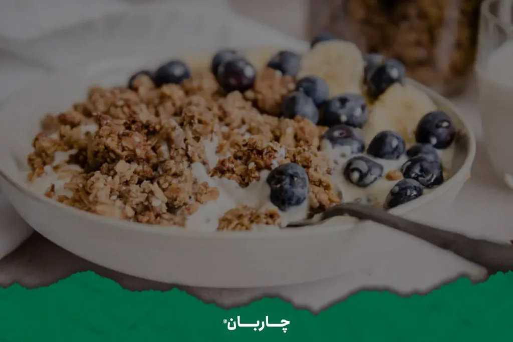میان وعده سالم و مغذی