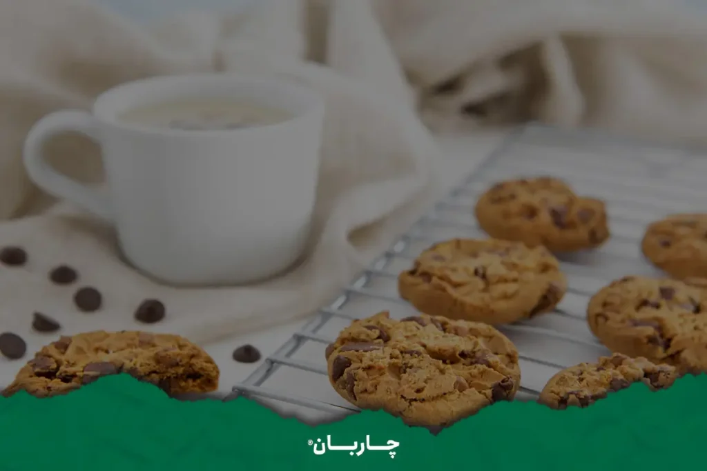کوکی شکلاتی جودوسر پرک صبحانه فوری